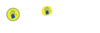 Roach Family Wellness