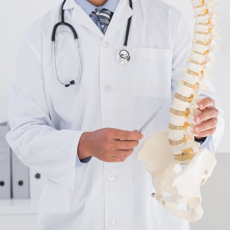 doctor pointing to model of spine