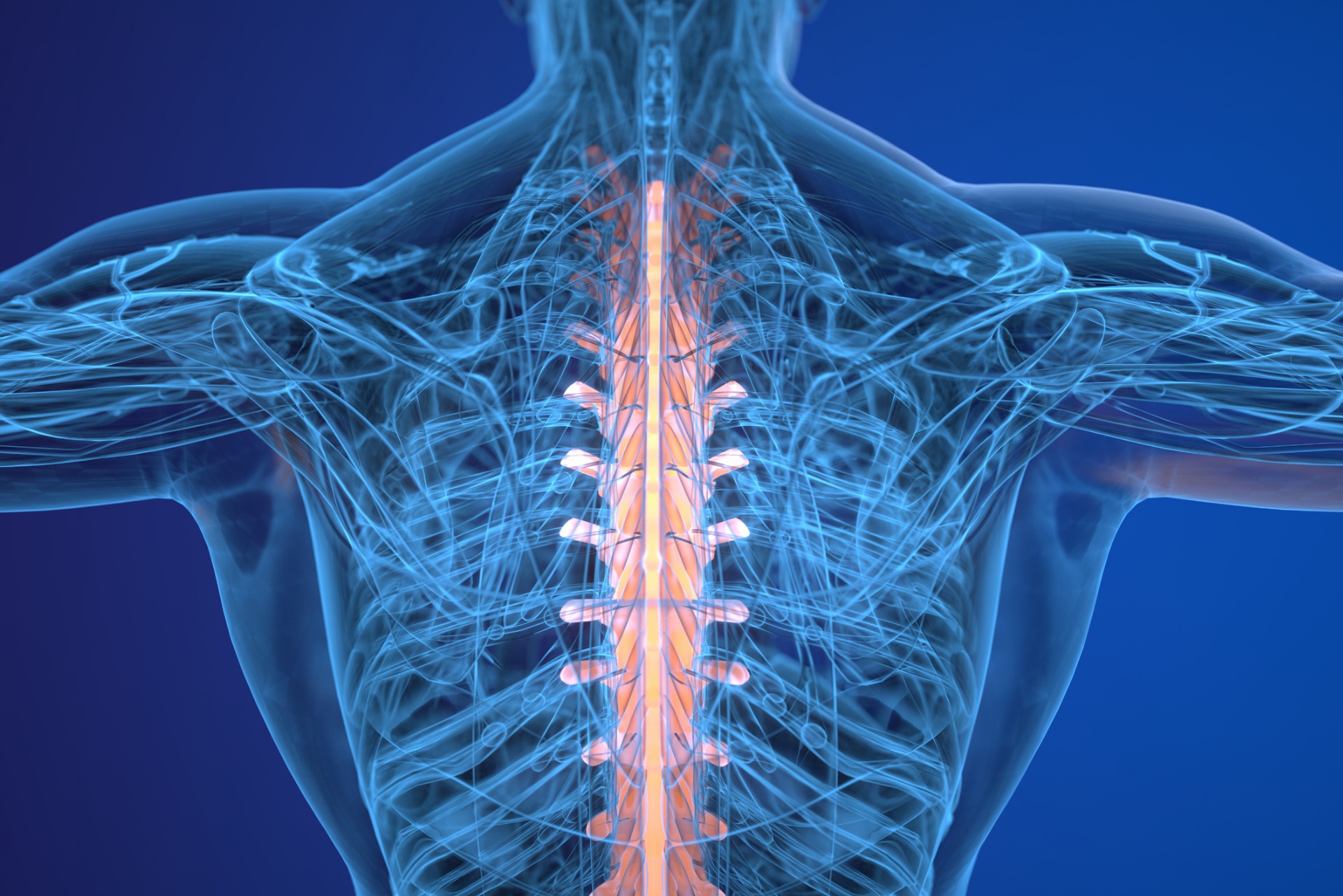 The Importance Of Keeping Your Spine Aligned
